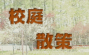 �Z��U��